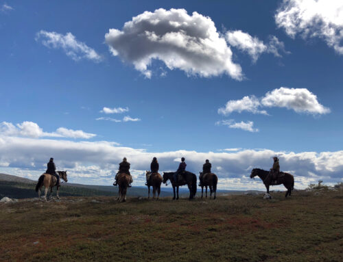 Ridresa till Trumvallen – hästar, fjäll och cowgirls